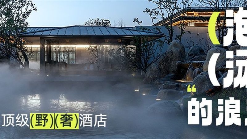 旅游公司数字化转型：加盟模式下的机遇与挑战